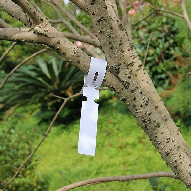 Plastic Plant Labels Wrap Around Tree Tags, Adjustable Nursery Garden