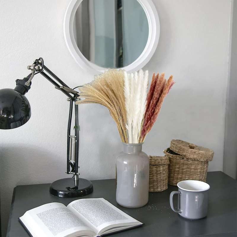 60pcs Reed Pampas Set Dried Flower for Flower Arrangements Home Decor