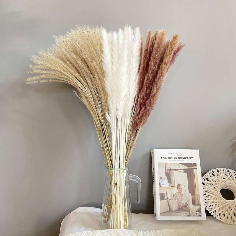 60pcs Reed Pampas Set Dried Flower for Flower Arrangements Home Decor