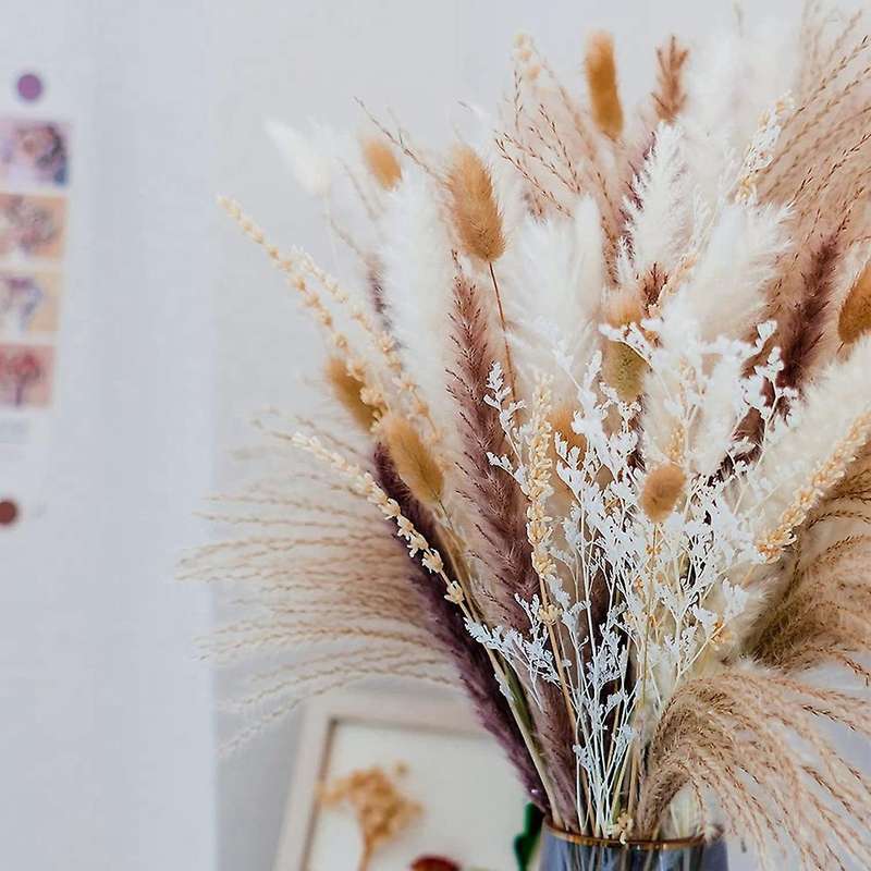 Pampas Grass 90pcs Natural Dried Flowers-for Home and Room Decor