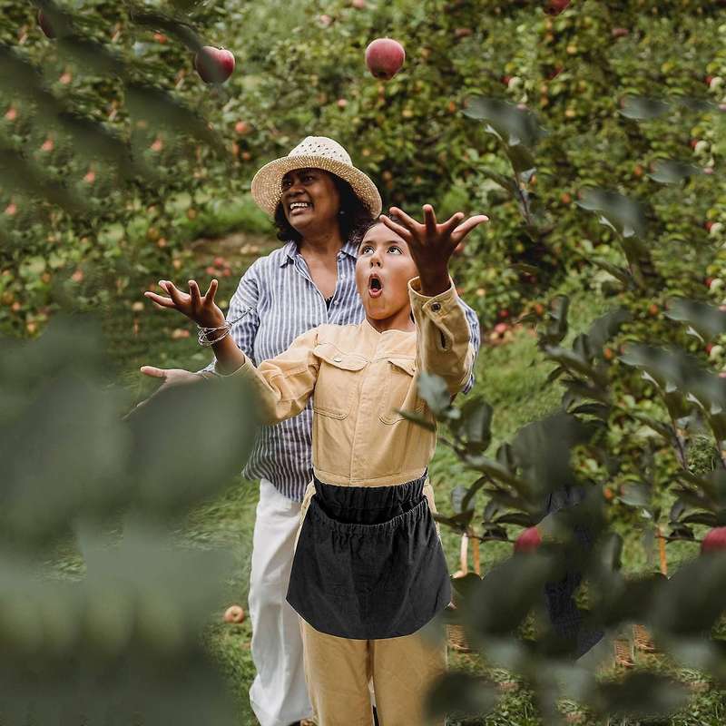 Apron for Gardeners for Vegetable Fruits Gathering Berry Picking - A