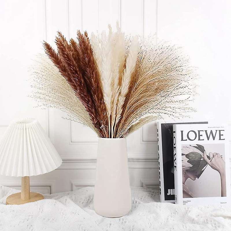 Natural Dried Pampas Grass,pampas,reed Grass,fluffy Rabbit Tails