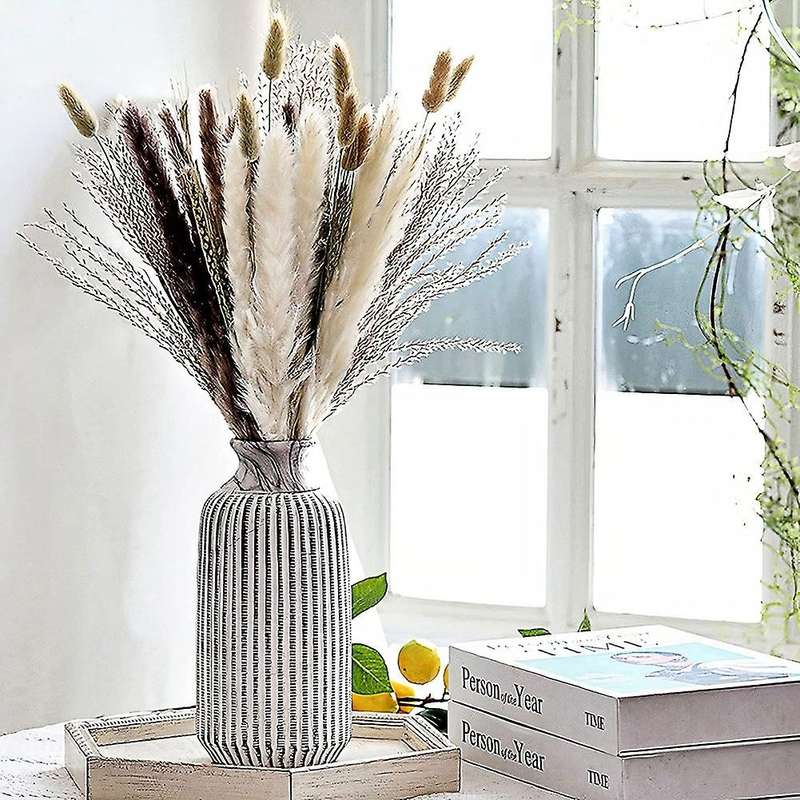 Natural Dried Pampas Grass,pampas,reed Grass,fluffy Rabbit Tails