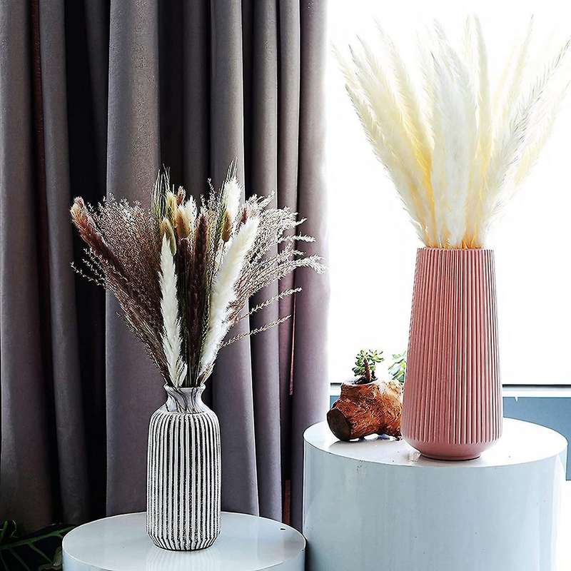 Natural Dried Pampas Grass,pampas,reed Grass,fluffy Rabbit Tails