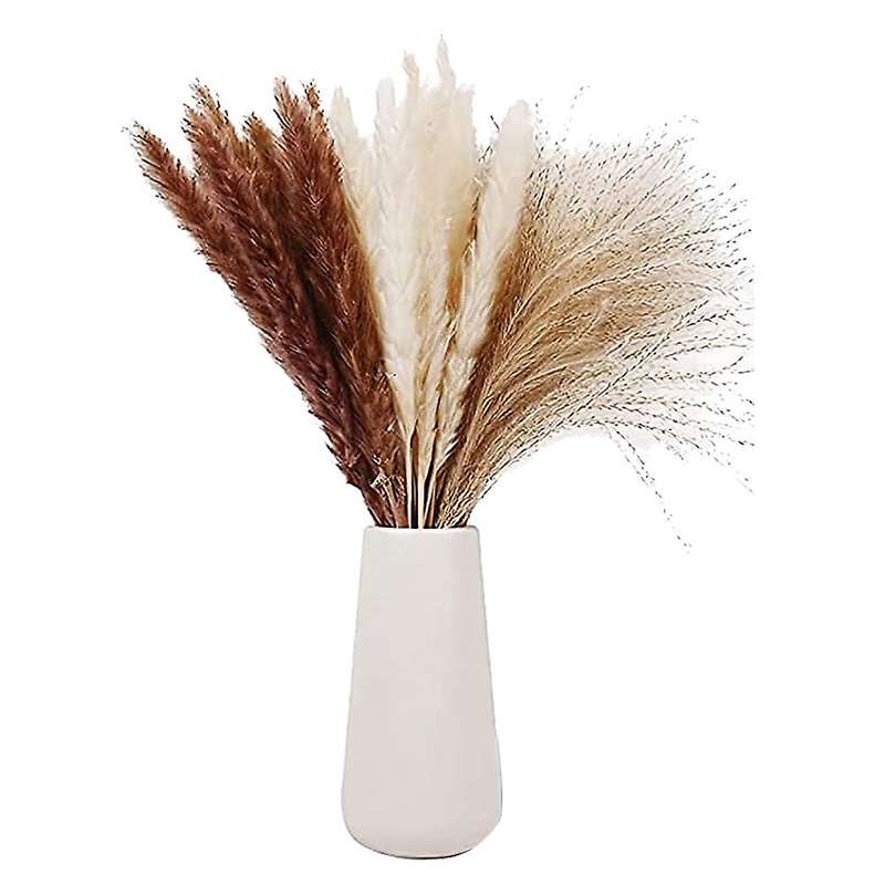 Natural Dried Pampas Grass,pampas,reed Grass,fluffy Rabbit Tails