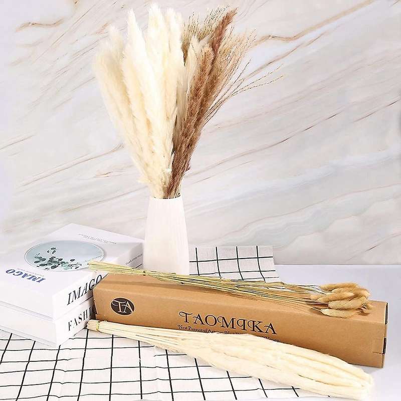 Pampas Grass Decoration Dried Flowers,hay Bouquet Set,pampas Grass