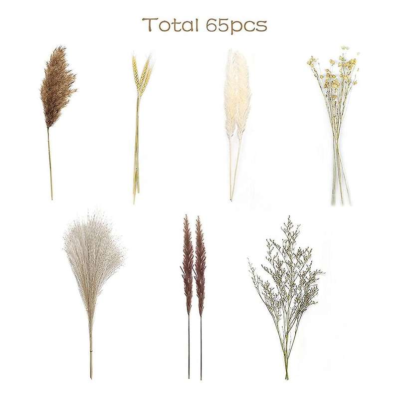 Boho Decor Pampas Grass, 80 Stems Dried Flowers Arrangements