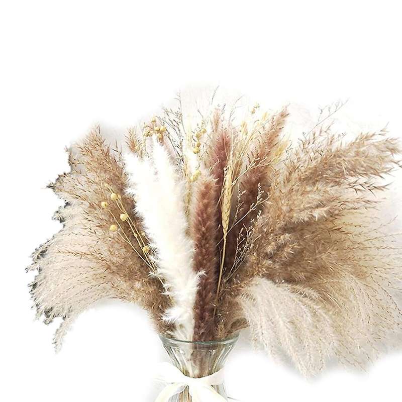 Boho Decor Pampas Grass, 80 Stems Dried Flowers Arrangements