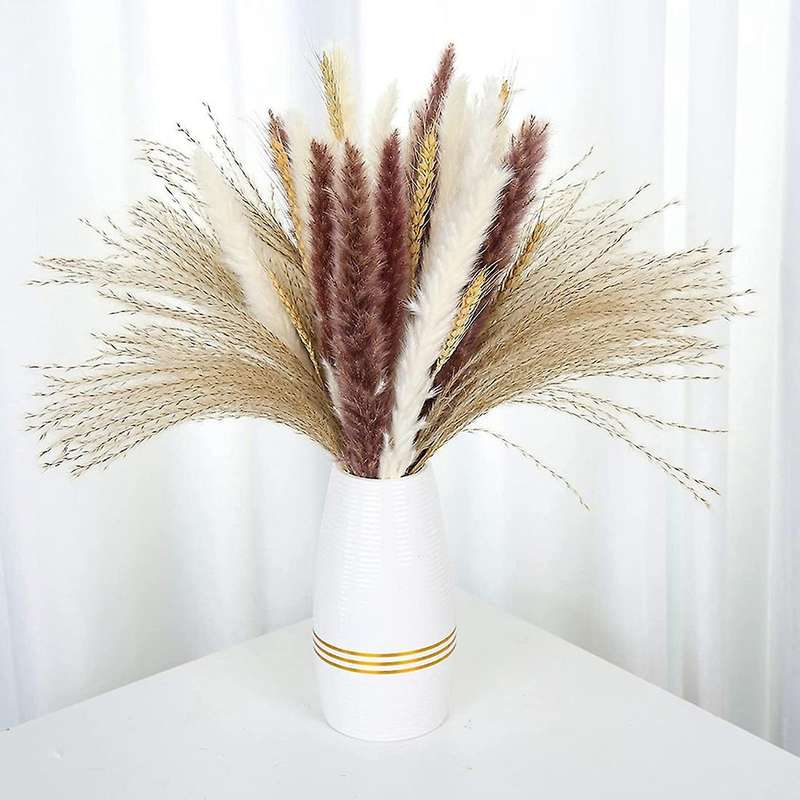 70pcs 17inch Natural Pompous Pampas Grass for Flower Home Decor