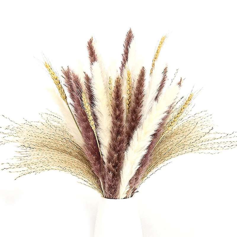 70pcs 17inch Natural Pompous Pampas Grass for Flower Home Decor