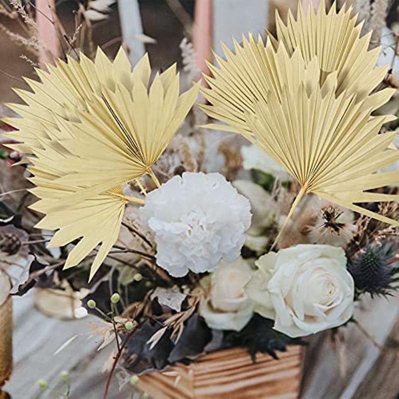 6pcs Natural Dried Palm Fans Dried Flower Bouquet Wedding Decors
