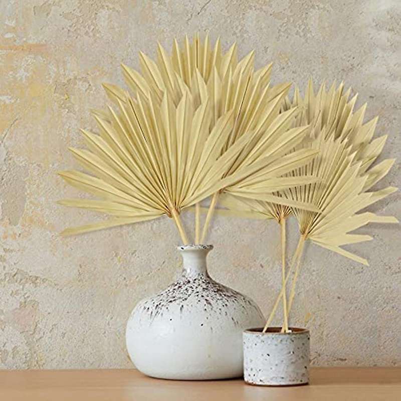 6pcs Natural Dried Palm Fans Dried Flower Bouquet Wedding Decors