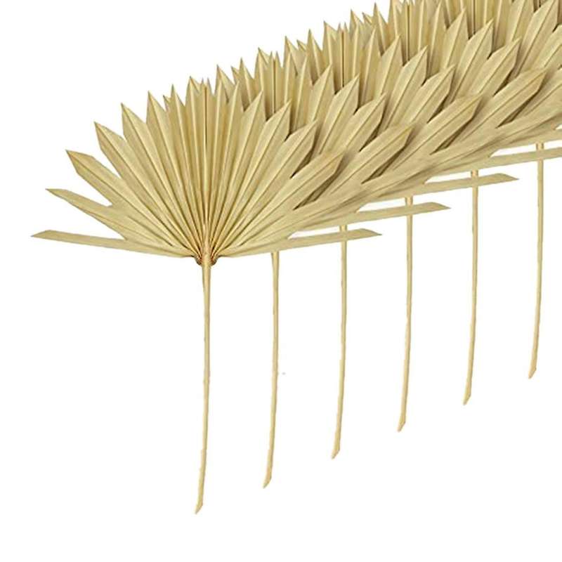 6pcs Natural Dried Palm Fans Dried Flower Bouquet Wedding Decors