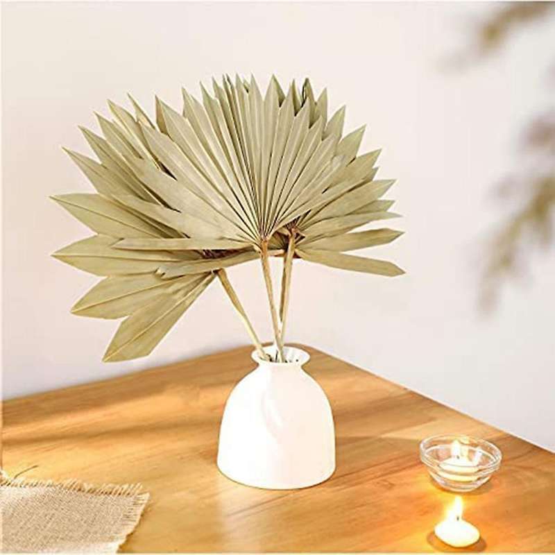 6pcs Natural Dried Palm Fans Dried Flower Bouquet Wedding Decors