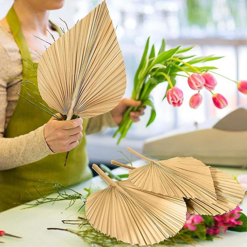 6pcs Dried Palm Leaves for Home Heart and Round Shape Trimmed Palm