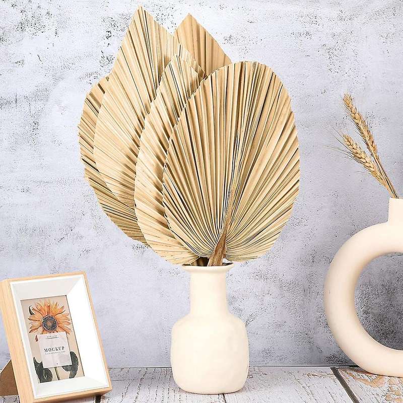 6pcs Dried Palm Leaves for Home Heart and Round Shape Trimmed Palm