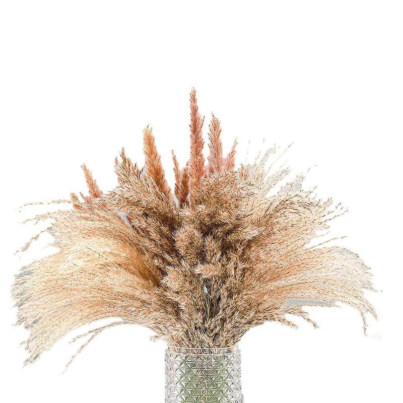 Pampas Grass Decor 65 Pcs - Boho Home Decor - Dried Flowers, 17inch