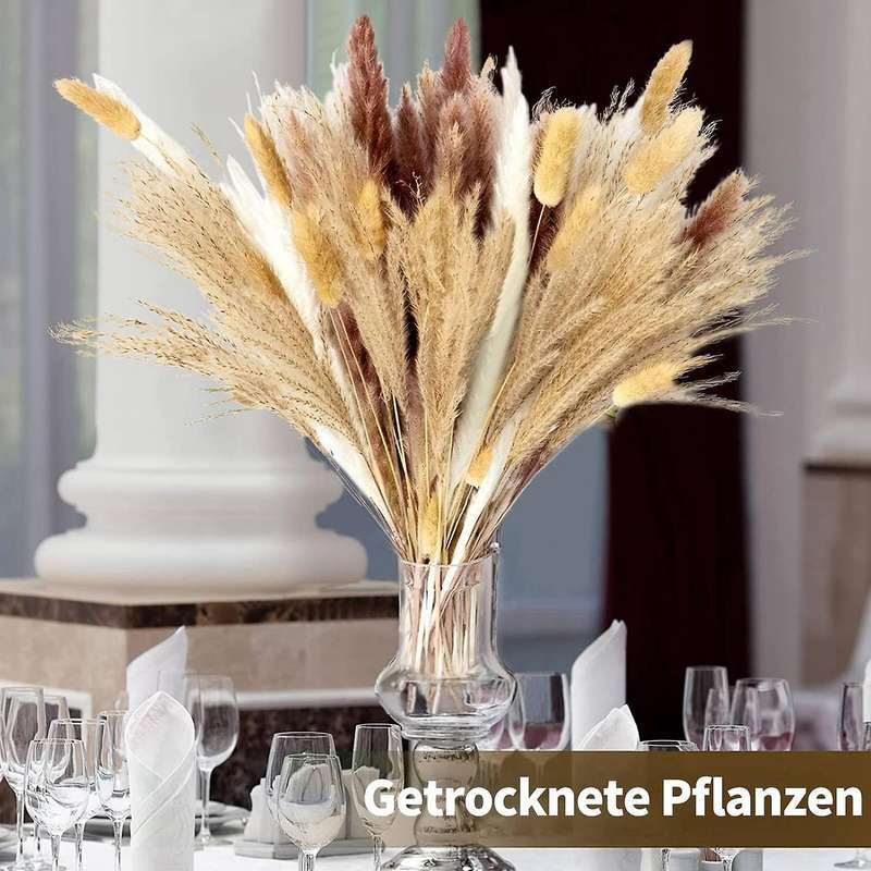 Natural Pampas Grass Dried Flowers for Flowers Arrangements Decor
