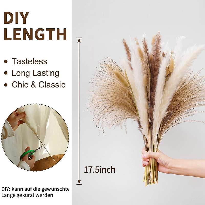 Natural Pampas Grass Dried Flowers for Flowers Arrangements Decor