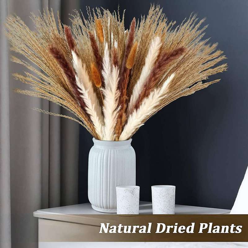 Natural Pampas Grass Dried Flowers for Flowers Arrangements Decor