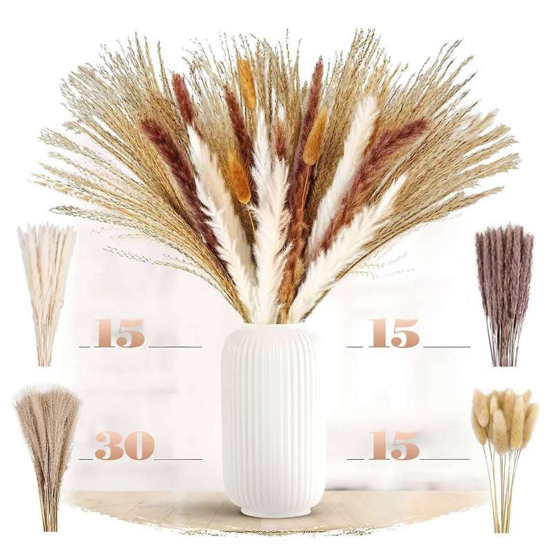 Natural Pampas Grass Dried Flowers for Flowers Arrangements Decor