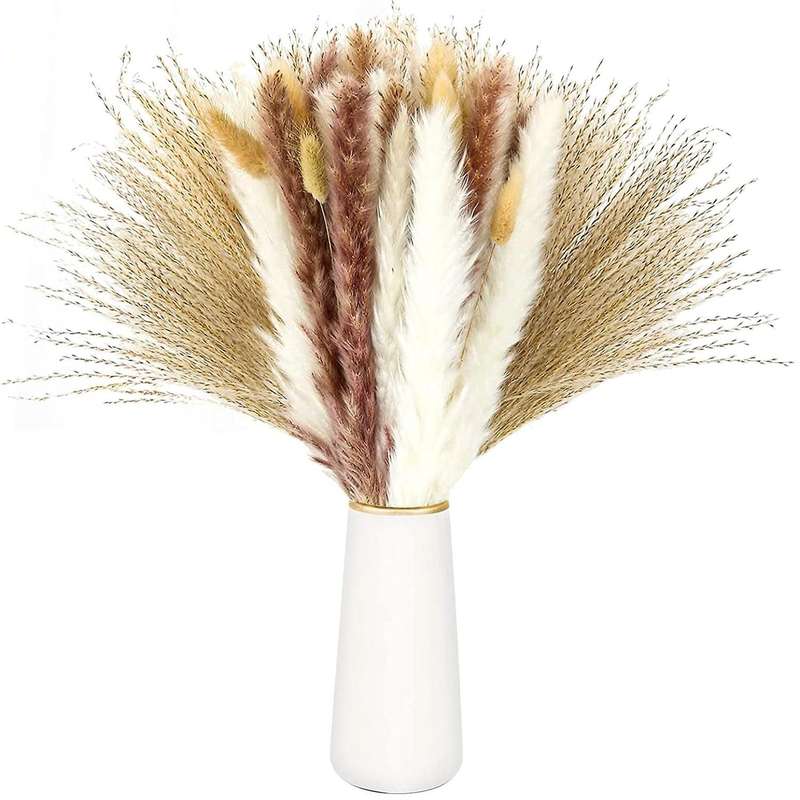 Natural Pampas Grass Dried Flowers for Flowers Arrangements Decor