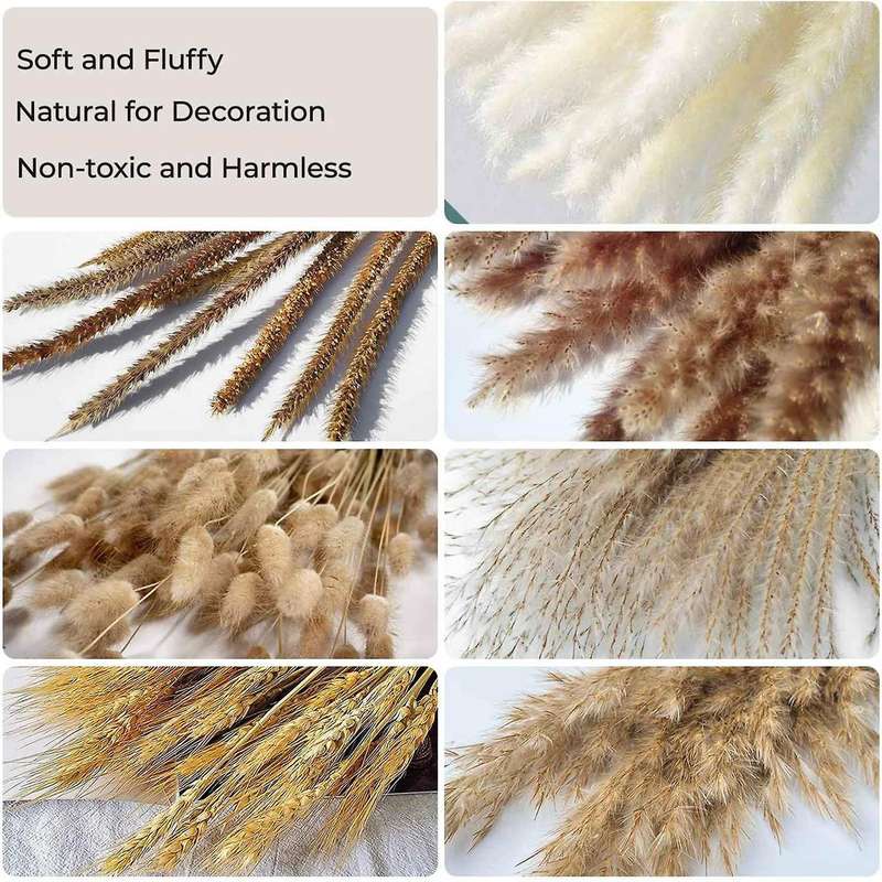 Dried Pampas Grass Decoration Vases Decor Bouquet Decor for Table