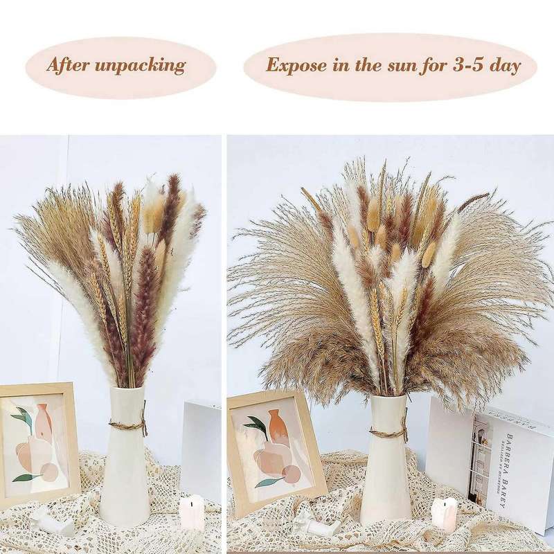 Dried Pampas Grass Decoration Vases Decor Bouquet Decor for Table