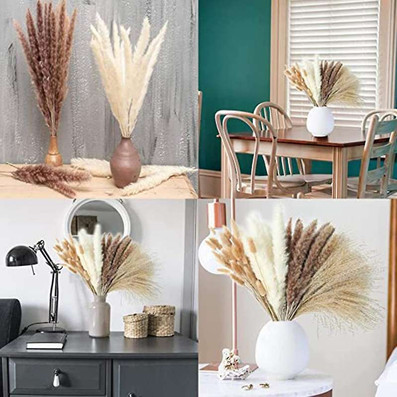 75 Pieces Natural Reed Pampas Bouquets, Perfect for Home Decor
