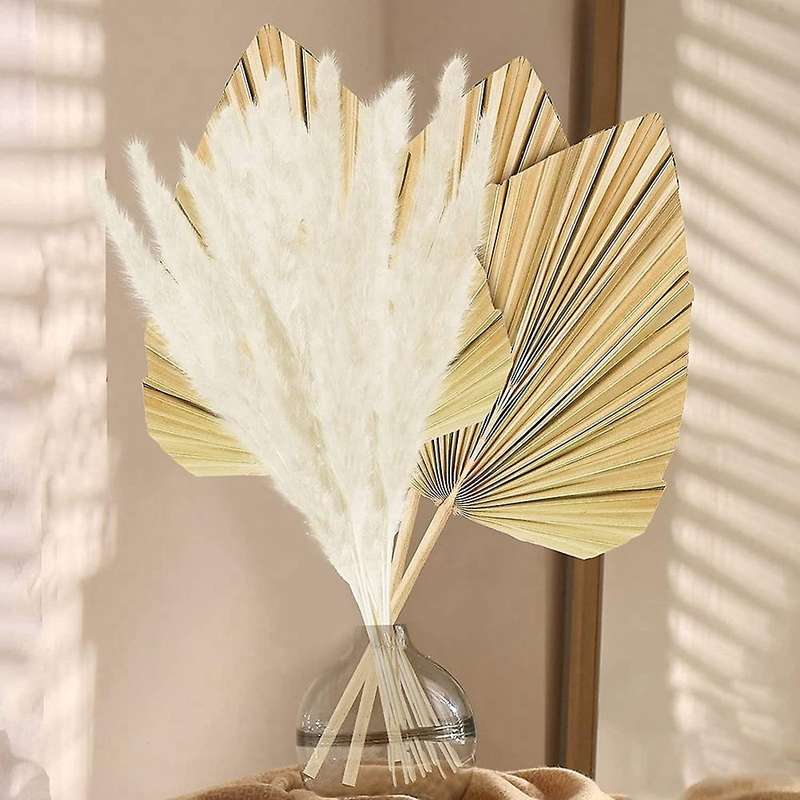 Dried Papapas Grass Decor Bouquet,dried Palm Leaves for Home Decor