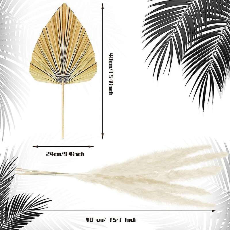 Dried Papapas Grass Decor Bouquet,dried Palm Leaves for Home Decor