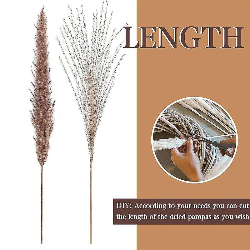 80pcs Natural Dried Pampas Grass - Fluffy Pampas Grass Bouquet