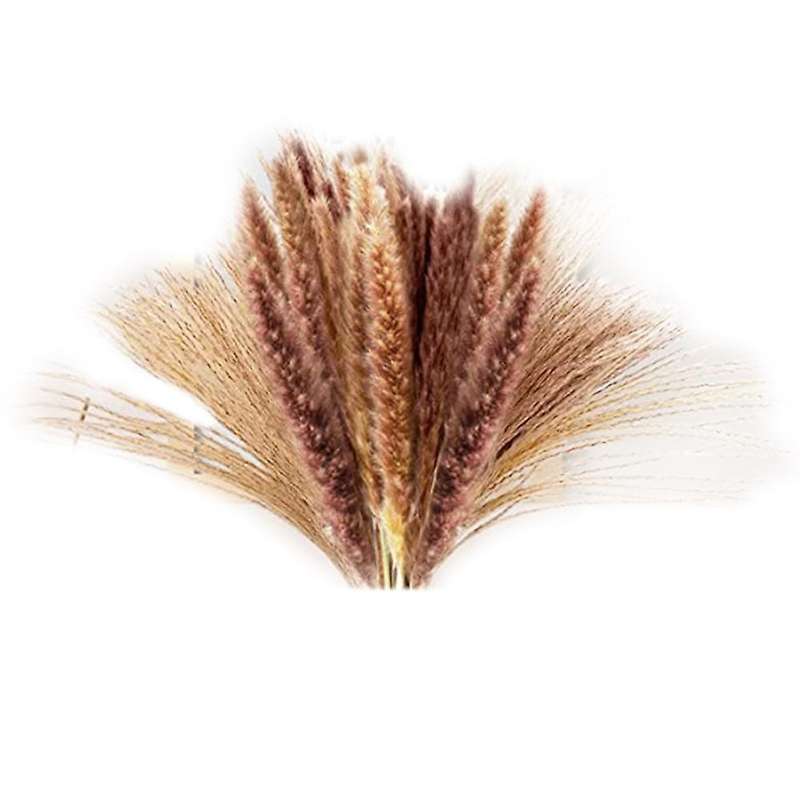 80pcs Natural Dried Pampas Grass - Fluffy Pampas Grass Bouquet