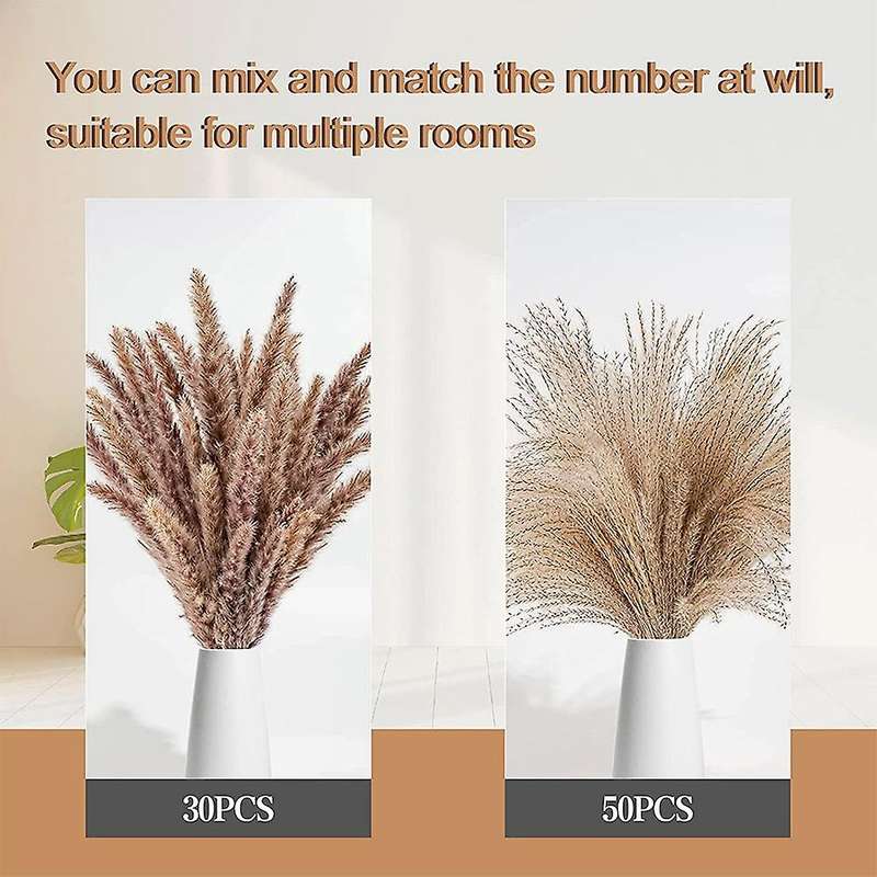 80pcs Natural Dried Pampas Grass - Fluffy Pampas Grass Bouquet