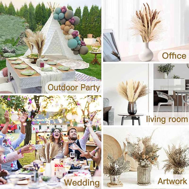 Pack Of 70 Natural Pampas Grass Dried Flowers for Home Living Room
