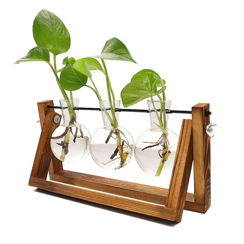 Plant Terrarium with Wooden Stand, for Hydroponics Plants Accessories
