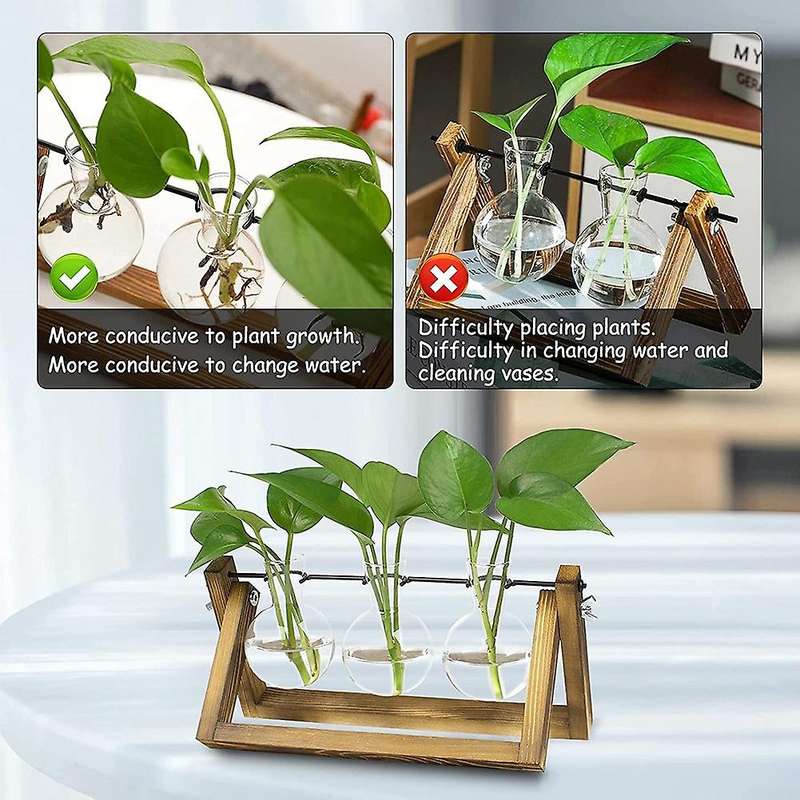 Plant Terrarium with Wooden Stand, for Hydroponics Plants Accessories