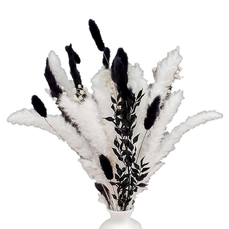 Pampas Grass Decor for Room, Party and Other Space (black and White)