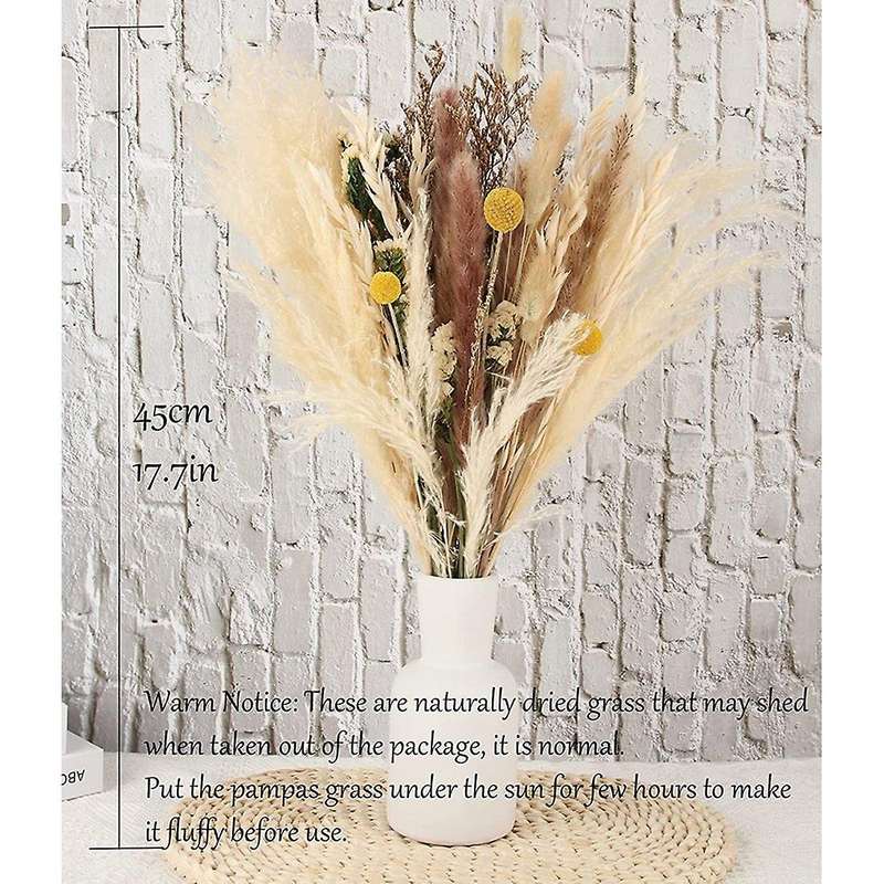 35 Pcs Natural Dried Pampas Grass, Tall Pampas Grass Dried Flowers