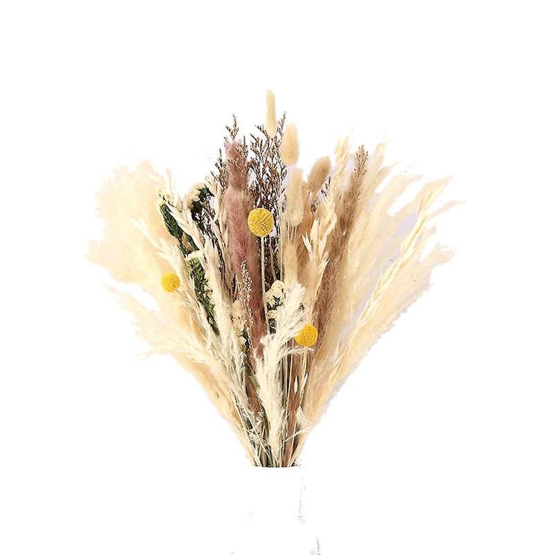 35 Pcs Natural Dried Pampas Grass, Tall Pampas Grass Dried Flowers