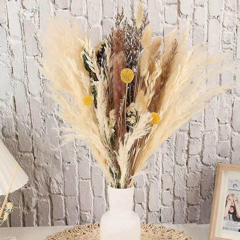 35 Pcs Natural Dried Pampas Grass, Tall Pampas Grass Dried Flowers