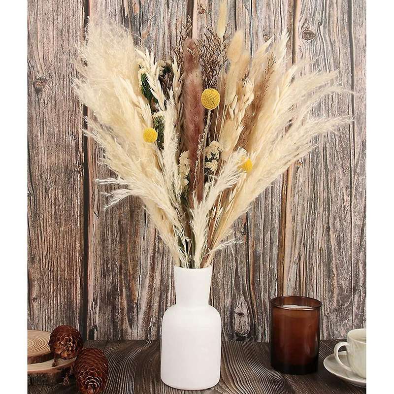 35 Pcs Natural Dried Pampas Grass, Tall Pampas Grass Dried Flowers