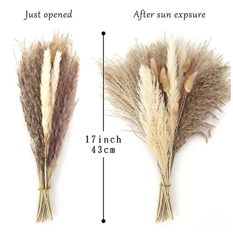 65pcs Natural Dried Pampas Grass Boho Decor Fluffy Floral Home Decor
