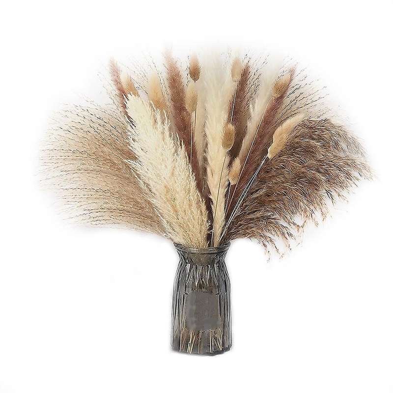 65pcs Natural Dried Pampas Grass Boho Decor Fluffy Floral Home Decor