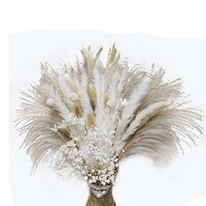 Dried Pampas Grass 65pcs, White Pampas Grass Decor 17in, Dry Flowers