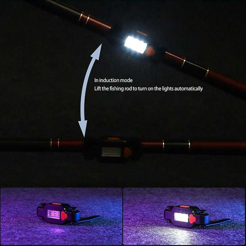 Leo Electronic Led Fishing Rod Sensor Light Gravity Fish Induction