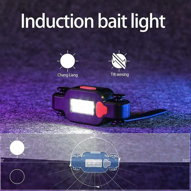 Leo Electronic Led Fishing Rod Sensor Light Gravity Fish Induction