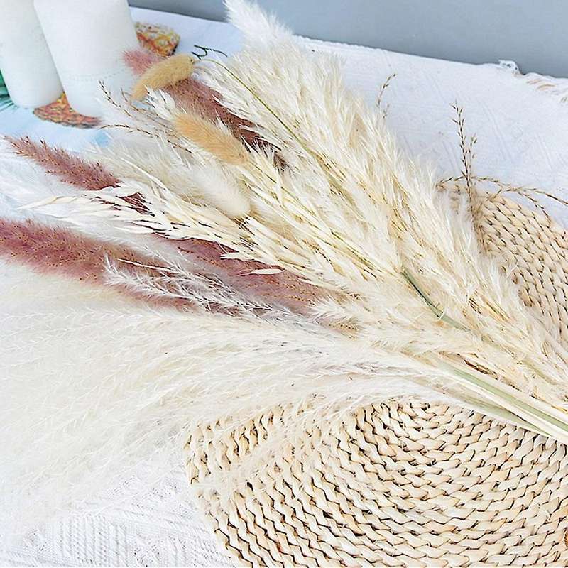 30pcs Dried Reed Small Pampas Flowers Artificial Banquet Decoration