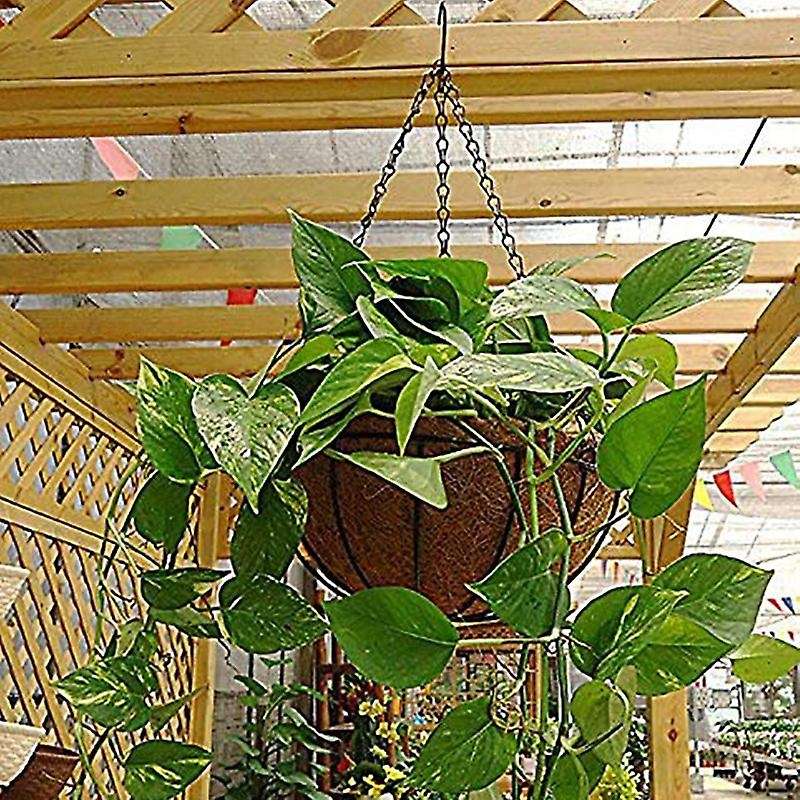 2 Pcs 10 Inch Hanging Coconut Vegetable Flower Pot Basket