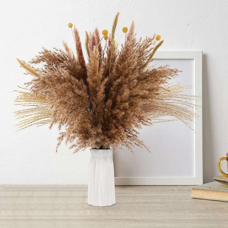 60pcs Natural Pampas Grass Dried 17.72 Inch Dried Flowers for Boho